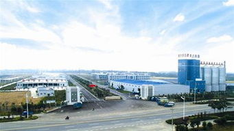 乘風(fēng)破浪鑄輝煌