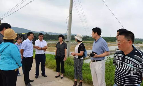 大連市水產(chǎn)專家調(diào)研合浦大蠔 漁業(yè)產(chǎn)業(yè)發(fā)展情況