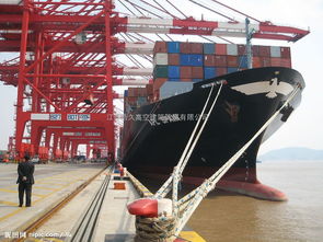 專業高架、龍門及碼頭吊車防腐服務 全面防護與價值解析